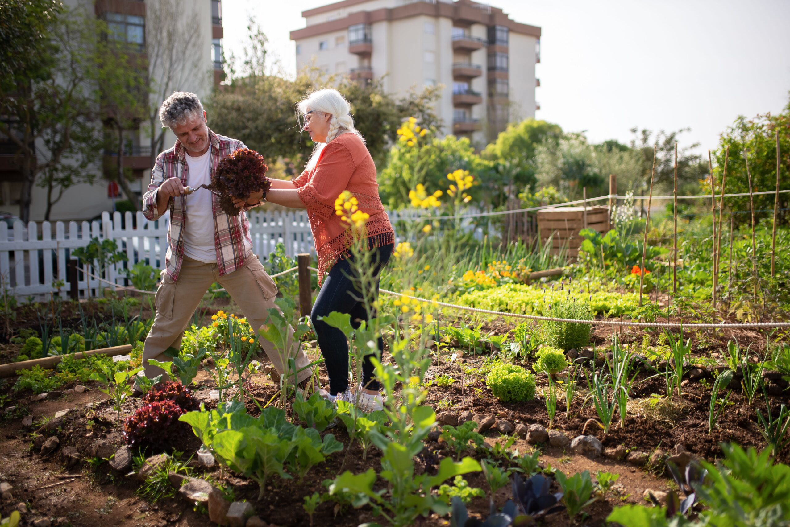 Senior couple aging in place at home in San Diego
