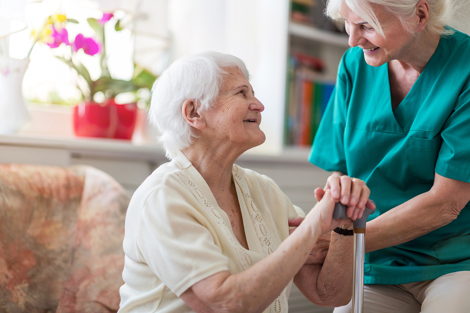 Companion Care at Home in Harrison NY